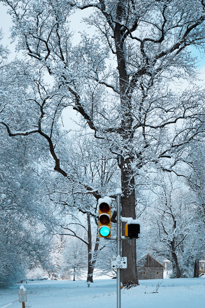 scenic winter landscape with snow covered trees
